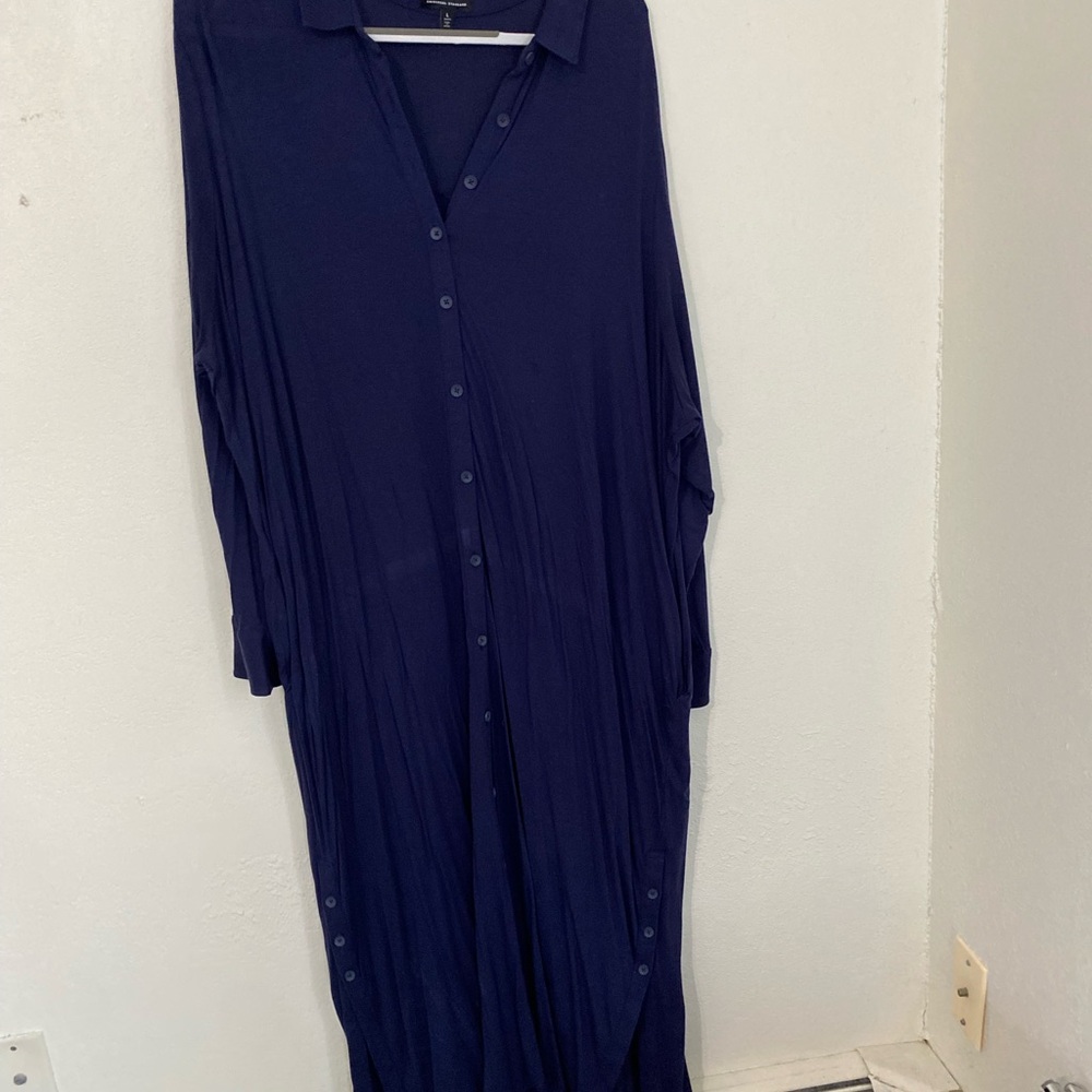 Universal Standard Blue Buttoned Dress